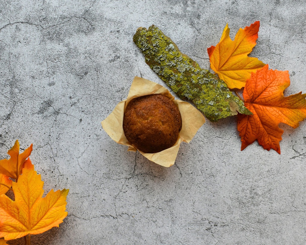 Gember maanzaad muffin